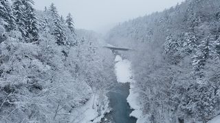 白金温泉から始まるブルーリバー