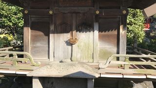 金龍が舞い降りて