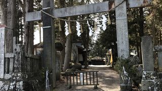 意外に立派でした