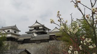 現存する１２の城のうちの一つ