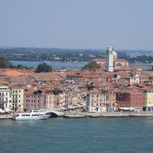 癒しの風景です