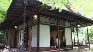 ５００円で和室でお茶とお菓子。