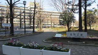 のどかな公園です