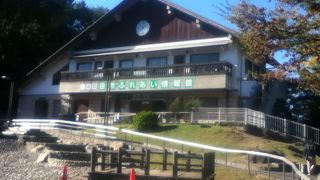 北区の昆虫や植物が見れる