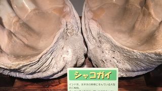 ちょっとお勉強できます