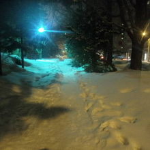 文学館傍の道路側の歩道、踏み跡が細くて歩き辛かったです