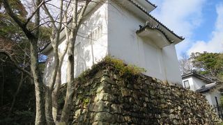 石垣が素晴らしいですね！