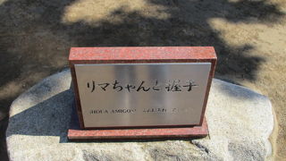 是非、友好の握手をお奨めします。