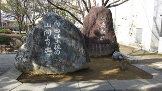 高知の力強さを感じる