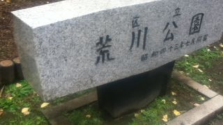 区役所の横にある公園