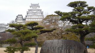 規模も大きく、見ごたえがありました