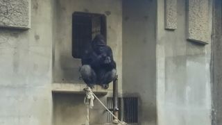 大人も充分楽しめる動物園
