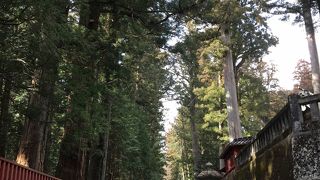 結構歩くので歩きやすい靴で行きましょう！