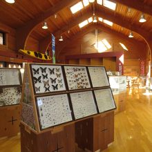 横山ビジターセンター