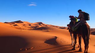 思ったより砂漠じゃない