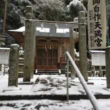 雪と梅の花がきれい