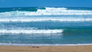 　高い波が　押し寄せて　ステキな　ビーチ！