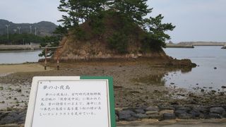 見るならば潮が満ちている時