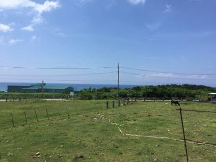 民宿 うりずん家 写真