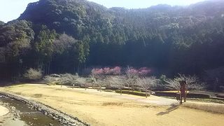 河川公園やすらぎの里