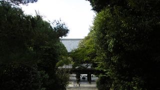 見上げたり、見下ろしたり