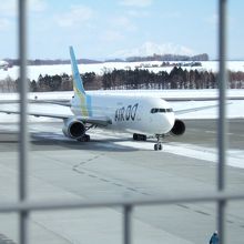 金網越しの飛行機