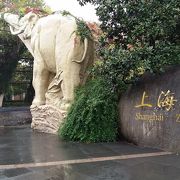 雨の日の動物園・・・寂しすぎます。