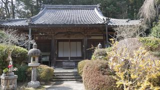 立派な桜のあるお寺