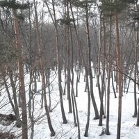 部屋からの眺め