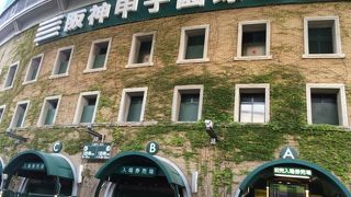 ツタが美しい球場