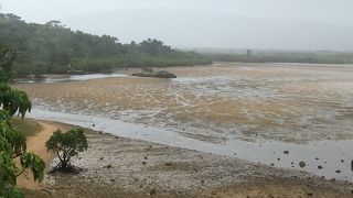野鳥観察の人が多い