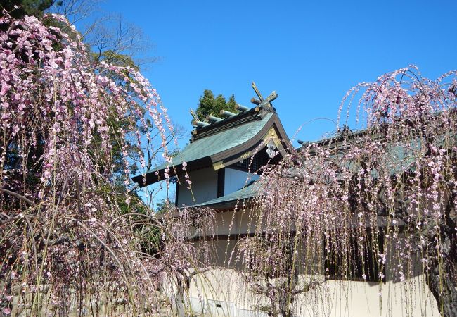 結城神社 クチコミ アクセス 営業時間 津 フォートラベル 結城神社 クチコミ アクセス 営業時間 津 フォートラベル