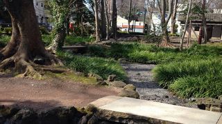 水がキラキラでした