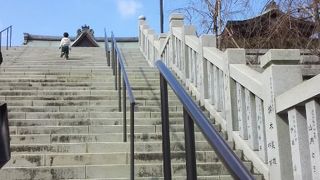 毎年来ています