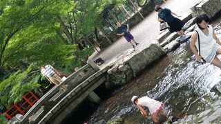 夏の子連れ定番スポット