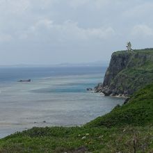 東屋付近から見たフナウサギバナタ。