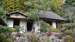 静かなお寺。おすすめです。