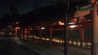 明かりのともった灯篭が美しい。