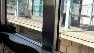 特急くろしおで利用