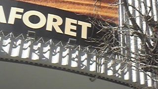 かなり久しぶり