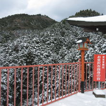 二人が飛び込んだとされる場所