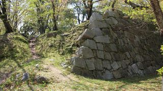 百名城めぐりの一つ