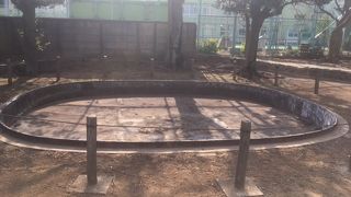 弥生時代の住居跡だということです。