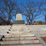 春は桜の名所のようです