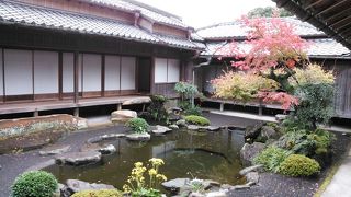 晴れていれば桜島のベストなビュースポット