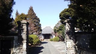 JR日暮里駅の西方向で大きな椎の木がある日蓮宗の寺院です。