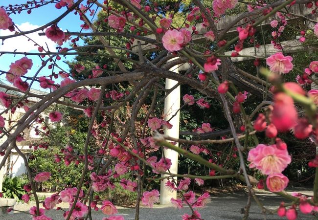 子育ての神さま