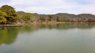大覚寺の隣にある池