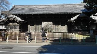 門の奥に咲く梅が綺麗でした。