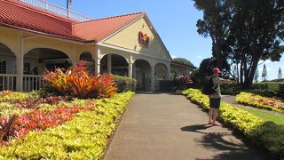 パイナップルのテーマパーク